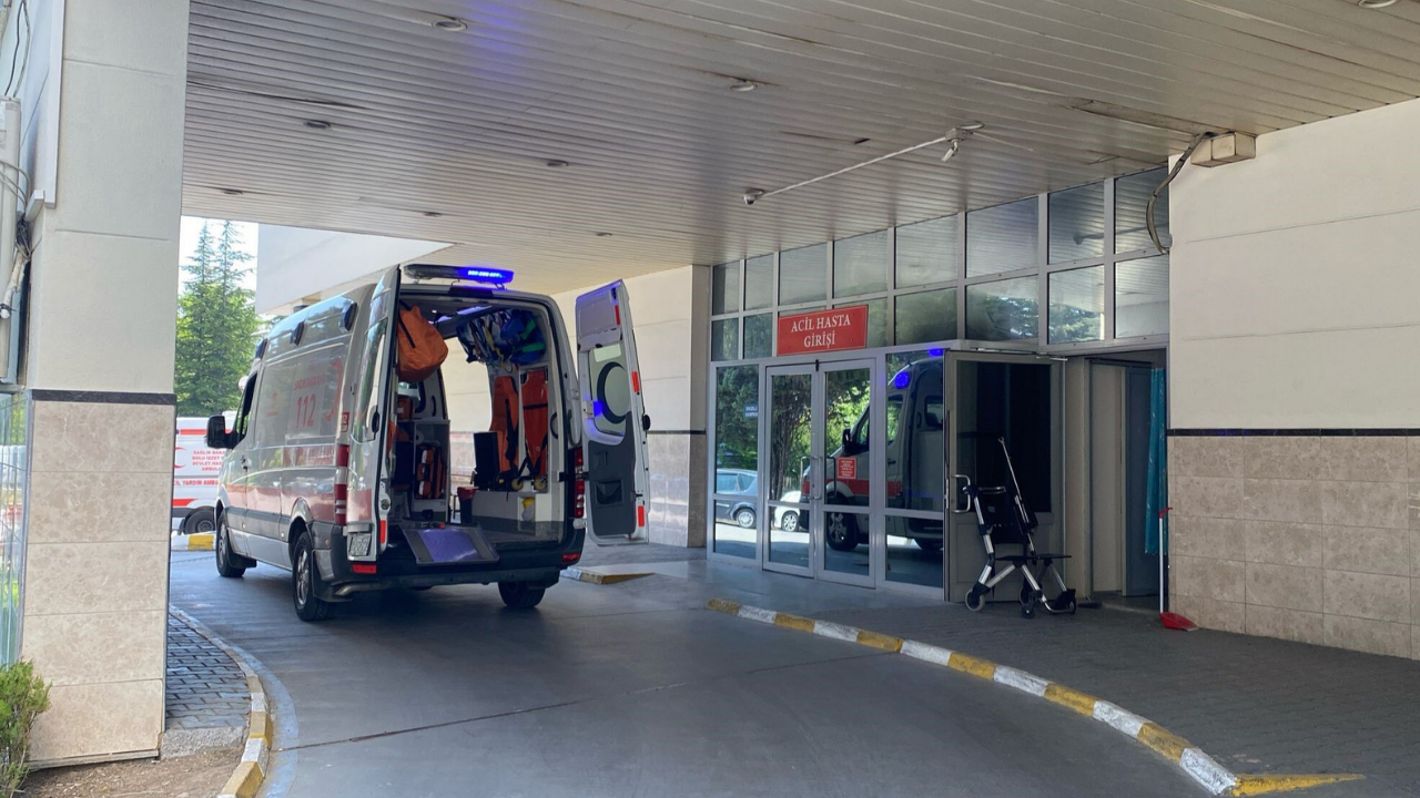 Deli dana hastalığı geri döndü: Ankara’dan sonra Bolu’da da vaka görüldü