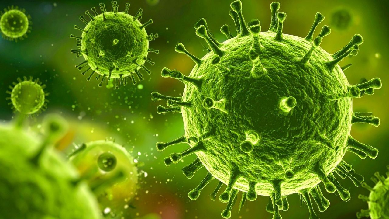 Ankara ve Bolu'da görüldü: Deli Dana Hastalığı nedir?