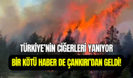 Türkiye’nin ciğerleri yanıp kül oluyor: Bu kez Çankırı’da yangın çıktı