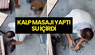 Bursa’da Sıcaktan Bayılan Kedi, Esnafın Müdahalesiyle Hayata Döndü!
