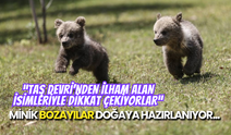 Mersin'in Yeni Yıldızları: Bozayı Kardeşlerin Kurtuluş Hikâyesi!