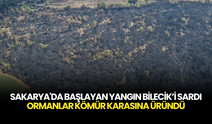 Sakarya’dan Bilecik’e Kabus Gibi Yangın! 14 Köy Boşaltıldı, Ormanlar Kül Oldu