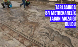 Tarlasında 84 metrekarelik taban mozaiği buldu