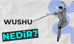 Wushu Nedir?