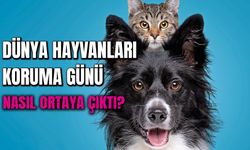 Dünyayı Paylaştığımız Dostlarımızın Günü! 4 Ekim Dünya Hayvanları Koruma Günü Nasıl Ortaya Çıkmıştır?