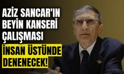 Sancar'ın beyin kanseri çalışması insan üstünde denenecek!