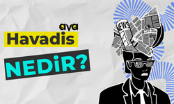 Havadis Nedir?