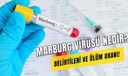 Marburg Virüsü Nedir? Nasıl Bulaşır? Belirtileri ve Ölüm Oranı!