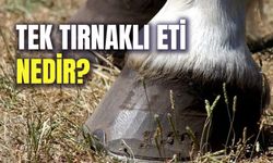 Tek Tırnaklı Eti Nedir? Neden Yenmez? Tarım ve Orman Bakanlığı’nın Yayınladığı Tağşiş Listesi!