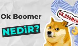 Ok Boomer Nedir? Nesiller Arası Çatışma!