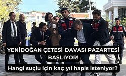 Yenidoğan çetesi davası başlıyor; çete için kaç yıl hapis cezası isteniyor?