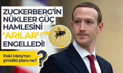 Mark Zuckerberg’in nükleer güç hamlesini arılar engelledi!