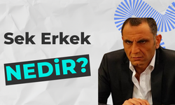 Sek Erkek Nedir? Özellikleri Nelerdir?