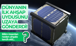 Dünyanın ilk ahşap uydusunu uzaya gönderdi!