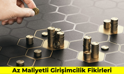 Az Maliyetli Girişimcilik Fikirleri: Düşük Sermayeli 10 İş Önerisi