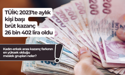 TÜİK: 2023'te aylık kişi başı brüt kazanç 26 bin 402 lira oldu