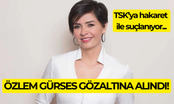 Özlem Gürses gözaltına alındı; neden suçlanıyor?