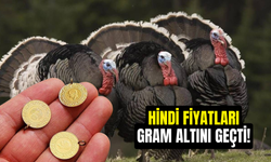 Hindi Fiyatları, Gram Altını Geçti!