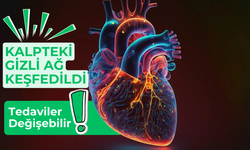 Bilim İnsanları Kalpteki Gizli Sinir Ağını Keşfetti: Tedaviler Değişebilir!