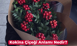 Yeni Yılda Şans Getiren Çiçek! Kokina Çiçeği Anlamı Nedir?