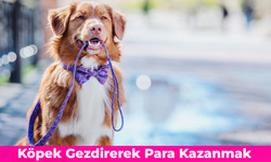 Köpek Gezdirerek Para Kazanmak: Nasıl Yapılır? Saatlik Ücretleri…