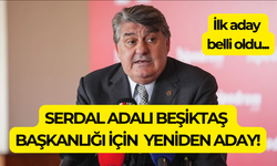 Serdal Adalı yeniden Beşiktaş başkanlığına aday!