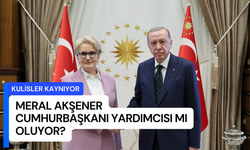 Kulisler kaynıyor: Meral Akşener Cumhurbaşkanı Yardımcısı mı oluyor?