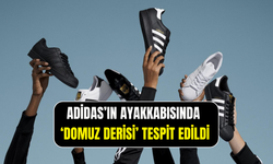 Adidas’ın ayakkabısında domuz derisi skandalı: Reklam Kurulu ceza kesti