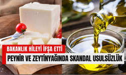 Bakanlık büyük hileyi ifşa etti: Zeytinyağına tohum yağı katılmış