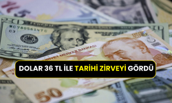 Döviz piyasaları karıştı: Dolar 36 TL ile tarihi zirveyi gördü