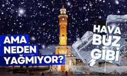 İzmir'e kar yağacak mı? İzmir'e neden kar yağmıyor?