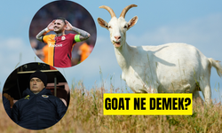 Sporda GOAT ne demek, açılımı nedir? GOAT hangi anlamda ve kimler için kullanılır?