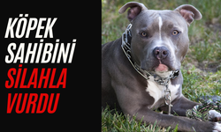 ABD’de tuhaf kaza: Köpek sahibini silahla vurdu