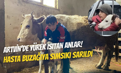 Artvin’de minik çobanın hayvan sevgisi: Hasta buzağıya korkmasın diye sarıldı