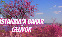 Sıcaklıklar artıyor, İstanbul’a bahar geliyor!