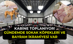 Kabine toplantısında yoğun gündem: Sokak köpekleri ve emekli ikramiyesi görüşülecek