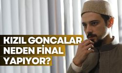 Kızıl Goncalar dizisi neden final yapıyor?