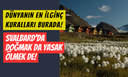 Svalbard Adası’nda ilginç kurallar: Ölmek ve doğmak neden yasak?