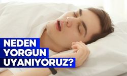 Sabahları neden yorgun uyanıyoruz? Uyku apnesi nedir?