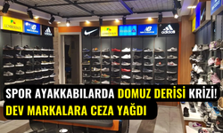 Domuz derisi kullanıldığı gizlendi: New Balance, Vans ve Camper’a ağır para cezaları