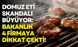 Domuz eti skandalı büyüyor: Bakanlık 4 firmaya dikkat çekti!