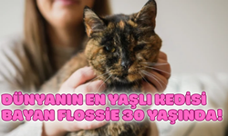 Dünyanın En Yaşlı Kedisi Bayan Flossie 30 Yaşında!