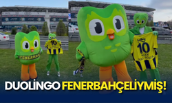 Duolingo Fenerbahçeliymiş!