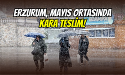 Erzurum’da Mayıs ayı kışı aratmadı: Kent beyaza büründü