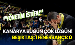 Fenerbahçe, Kendi Evinde Beşiktaş'a 1-0 Yenildi!