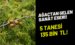 Günlük 5 tane üretip 135 bin TL kazanıyor: Osmaniye’nin coğrafi işareti andız tespihi