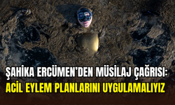 Şahika Ercümen’dan Marmara Denizi’ne farkındalık dalışı: ‘’Müsilaj felaket boyutunda’’