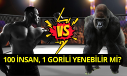Sosyal medyada tartışılan absürt soru: 100 adam bir gorili yenebilir mi?