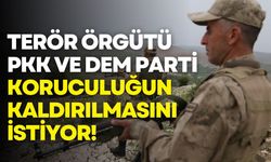 Terör örgütü PKK ve DEM Parti, koruculuğun kaldırılmasını istiyor!