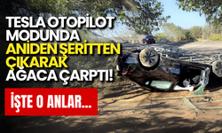 Tesla Otopilot Modunda Aniden Şeritten Çıkarak Ağaca Çarptı! İşte o anlar...